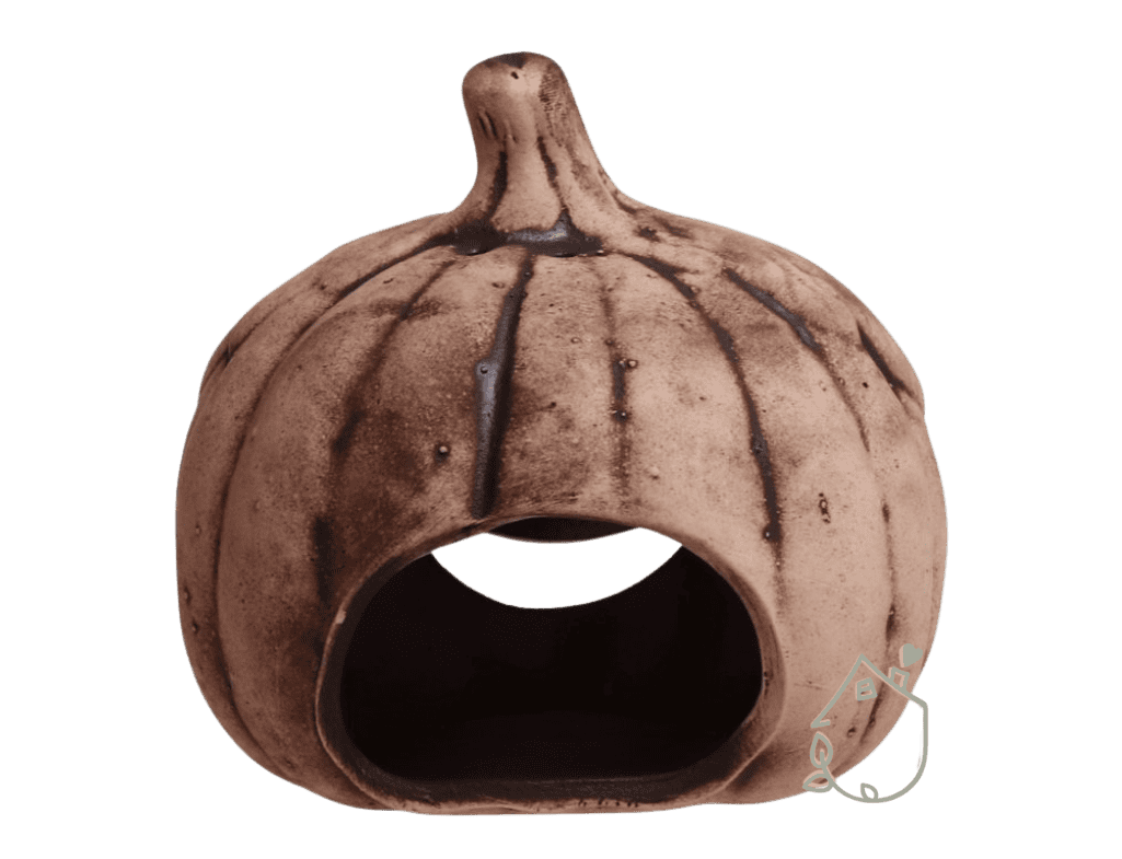 Dýně halloween Štefa