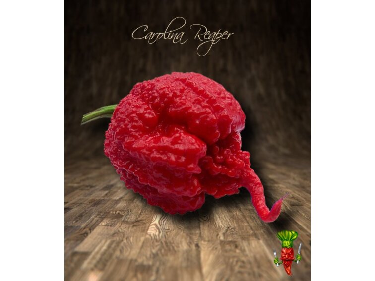 Taška s vlastní fotografií T1001