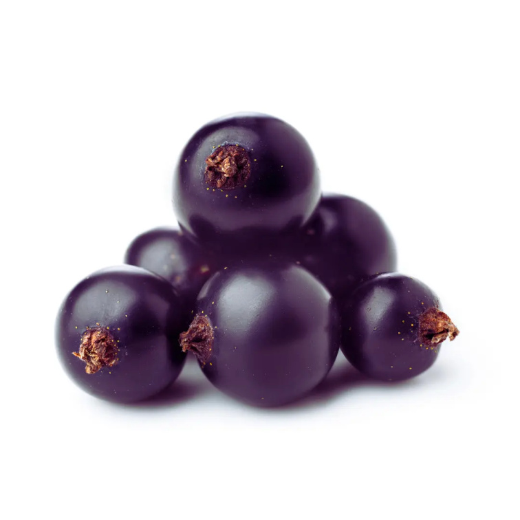 9 Grams Coffee Peru SHB EP Grade Kuelap Organic