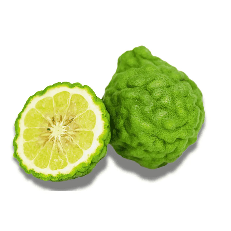 9 Grams Coffee Nicaragua Finca Bethania Maracaturra washed