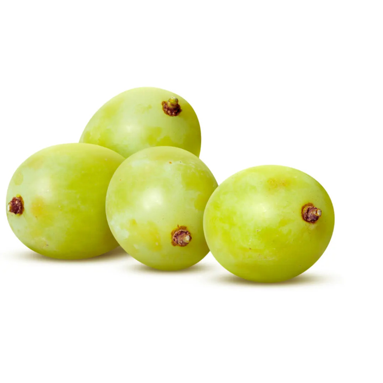 9 Grams Coffee Kenya Kathakwa washed 70g