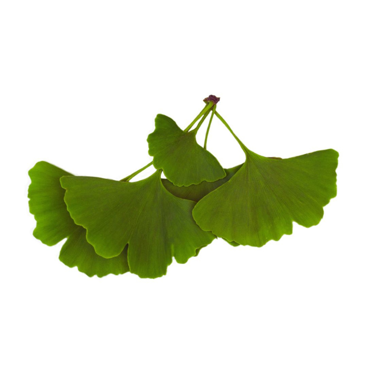 Costadoro GINSENG COFFEE CLASSIC 500g