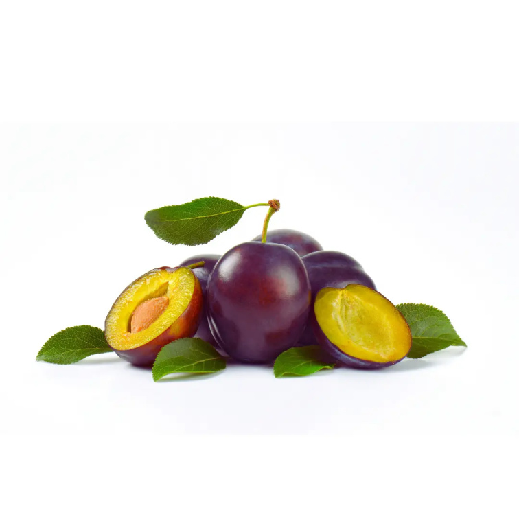 9 Grams Coffee Tanzania Burka Estate Natural SC 15up