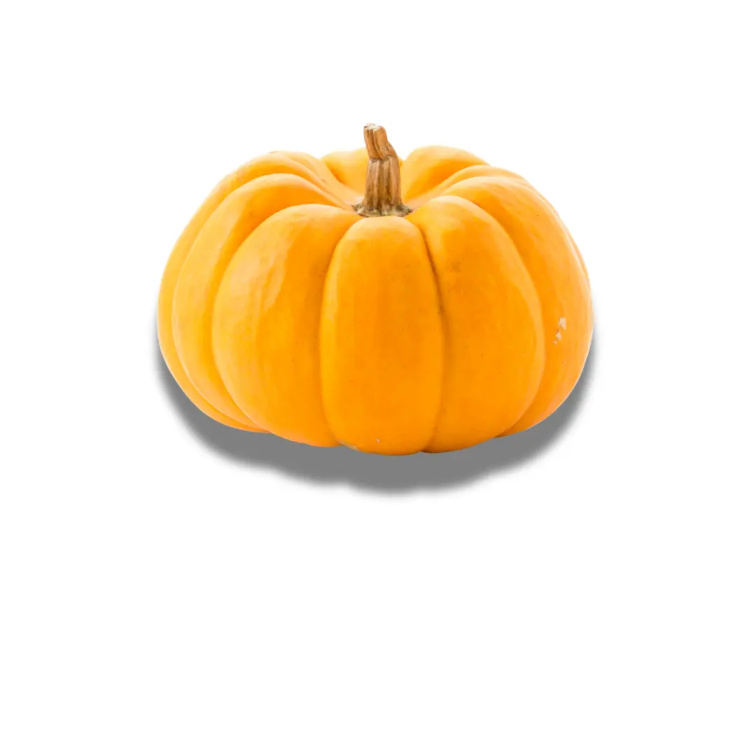 9 Grams Coffee - Pumpkin Cinnamon