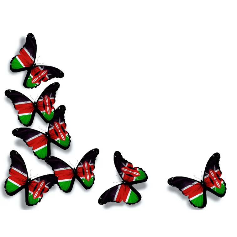 9 Grams Coffee Kenya Kathakwa washed 70g