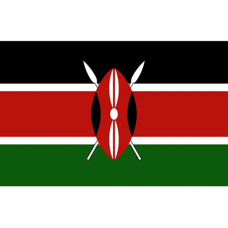 9 Grams Coffee Kenya Kathakwa washed 70g