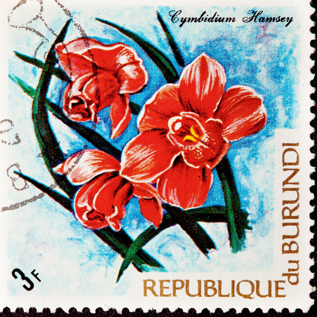 9 Grams Coffee Burundi Kayave washed