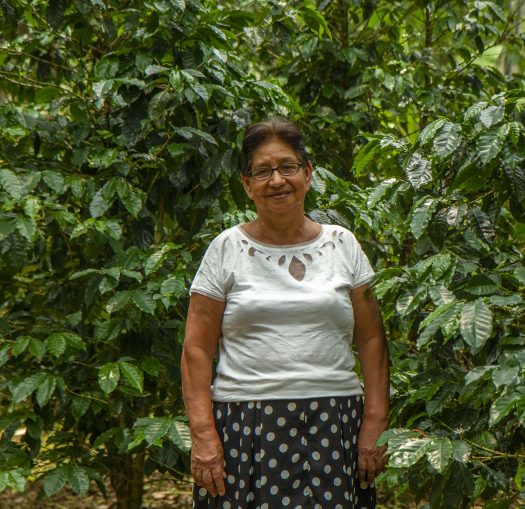 9 Grams Nicaragua Finca Santa Helena Lot Santa Isabel