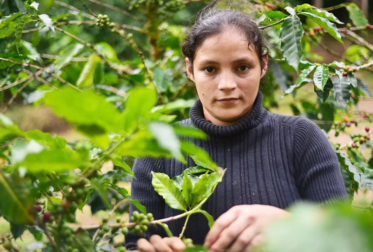 9 Grams Coffee Nicaragua Finca Bethania Maracaturra washed