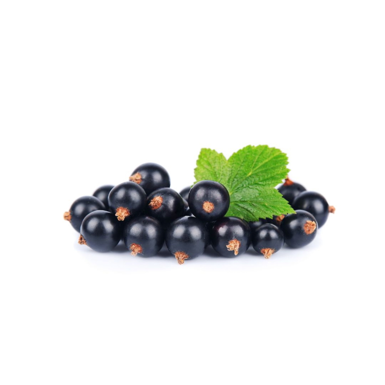 9 Grams Coffee Colombia Villamaria Natural