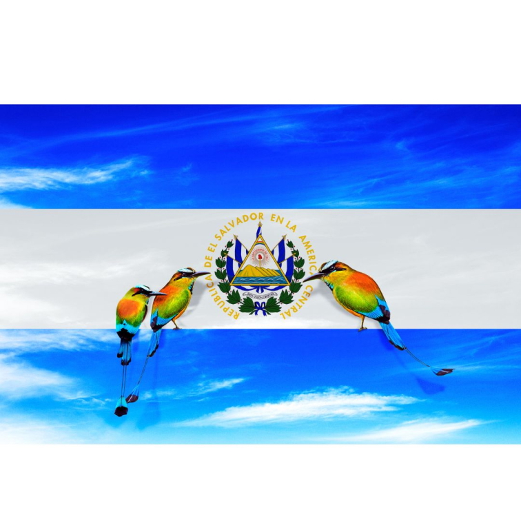 Zelená káva El Salvador La Majada - 1kg