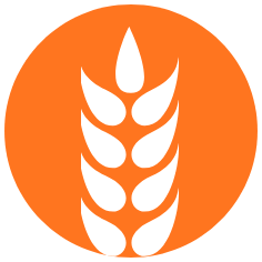 Odlesňování Amazonie