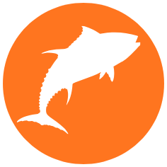 Odlesňování Amazonie