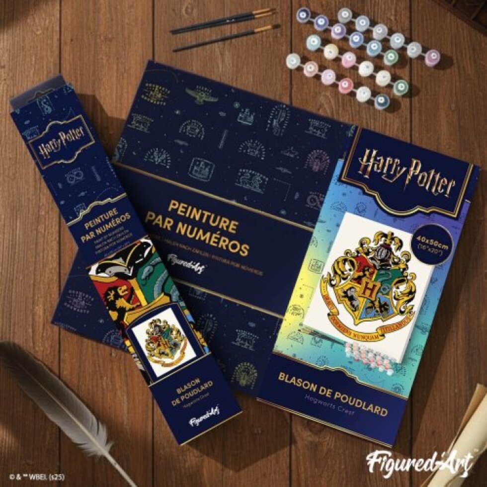 Malování podle čísel - HARRY POTTER - BRADAVICKÝ ERB 40 x 50 cm na rámu