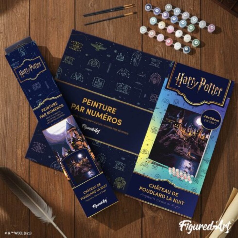 Malování podle čísel - HARRY POTTER - BRADAVICKÝ HRAD V NOCI 40 x 50 cm na rámu