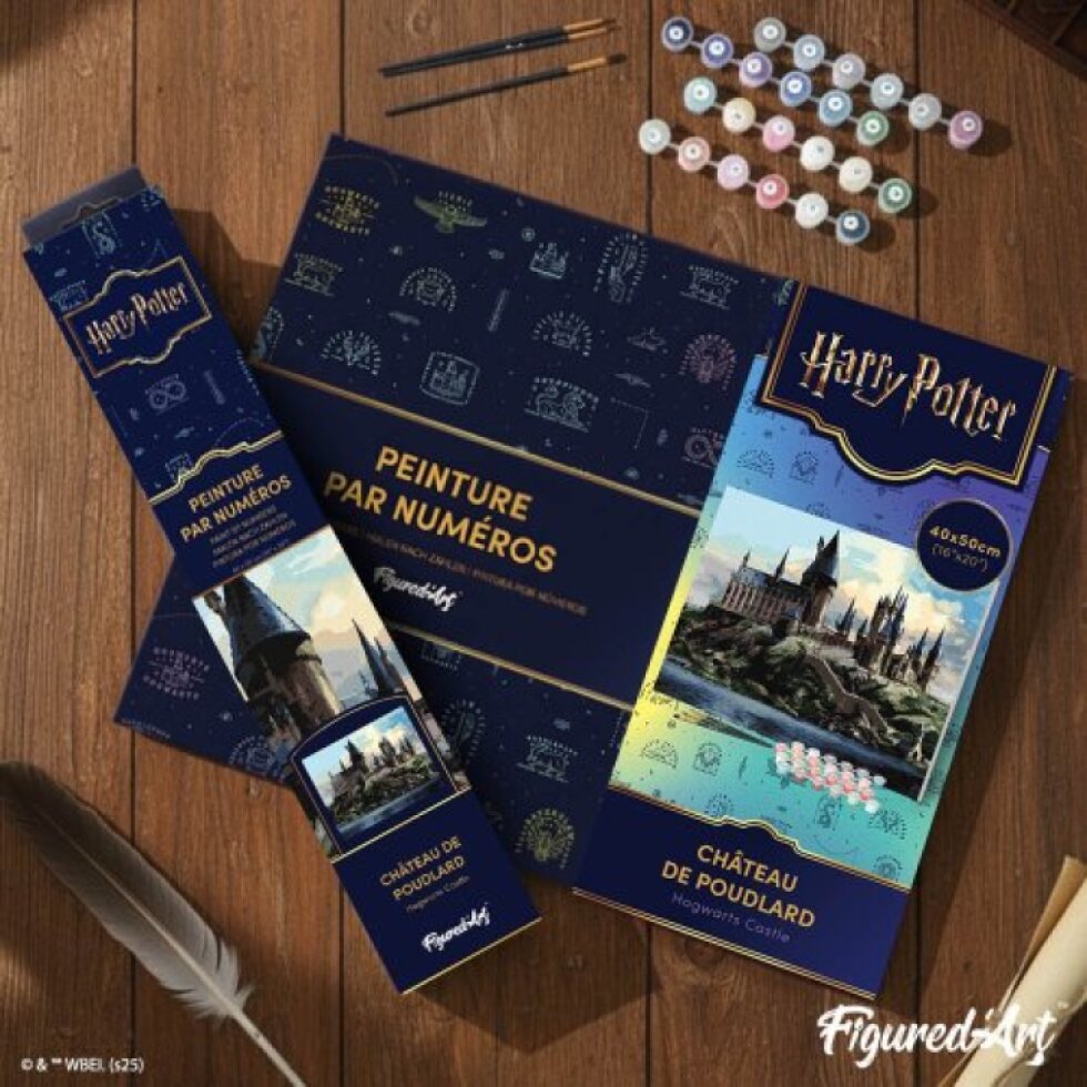 Malování podle čísel - HARRY POTTER - BRADAVICKÝ HRAD 40 x 50 cm na rámu