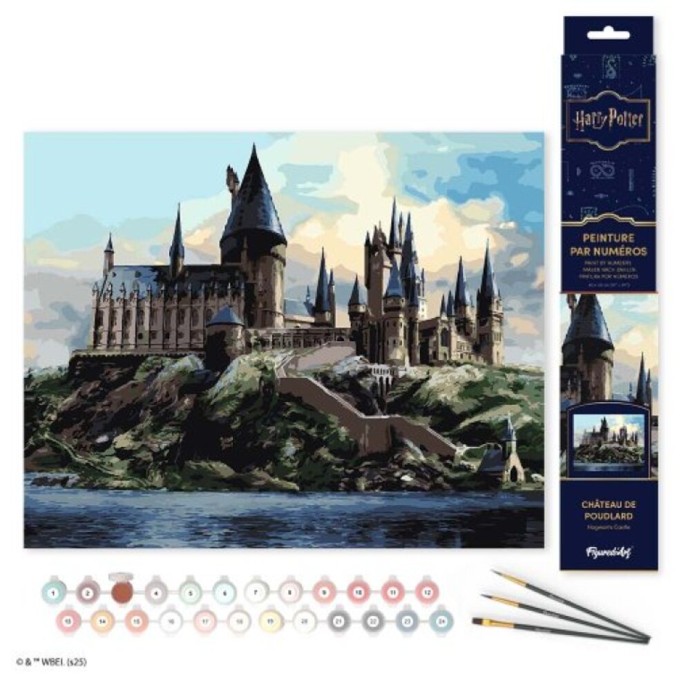 Malování podle čísel - HARRY POTTER - BRADAVICKÝ HRAD 40 x 50 cm bez rámu