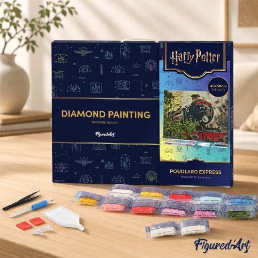 Diamantové malování - HARRY POTTER - BRADAVICKÝ EXPRES 40 x 50 cm na rámu