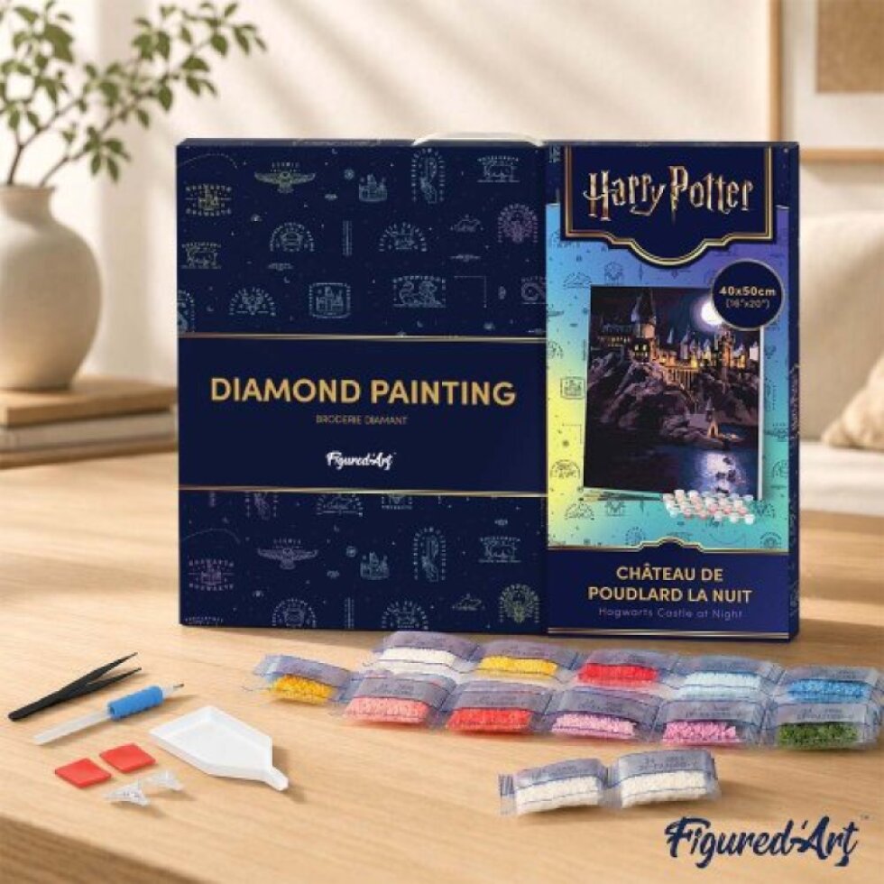 Diamantové malování - HARRY POTTER - BRADAVICKÝ HRAD 40 x 50 cm na rámu
