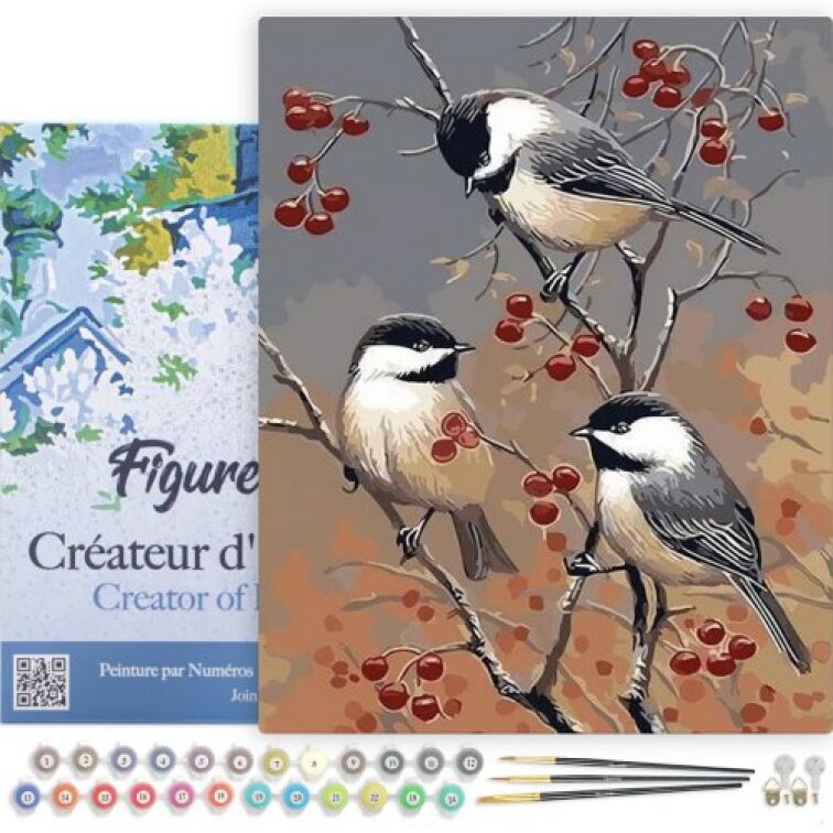 Malování podle čísel - PTÁČCI NA OVOCNÉM STROMU na rámu 40 x 50 cm