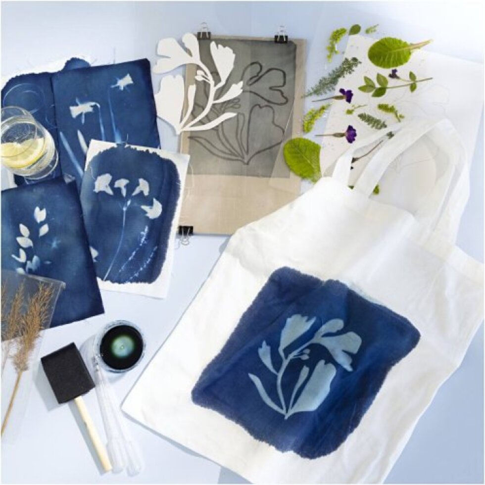 Sada modrobílá Kyanotypie na textil
