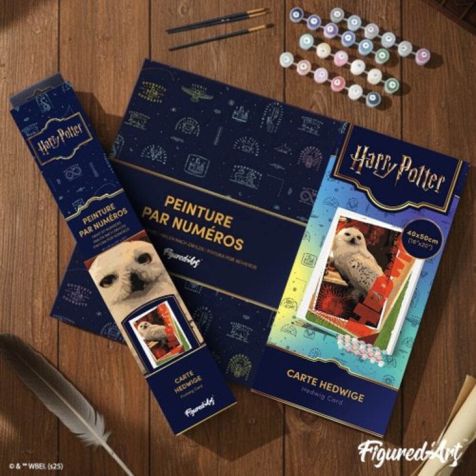 Malování podle čísel - HARRY POTTER - SOVA HEDVIKA 40 x 50 cm bez rámu
