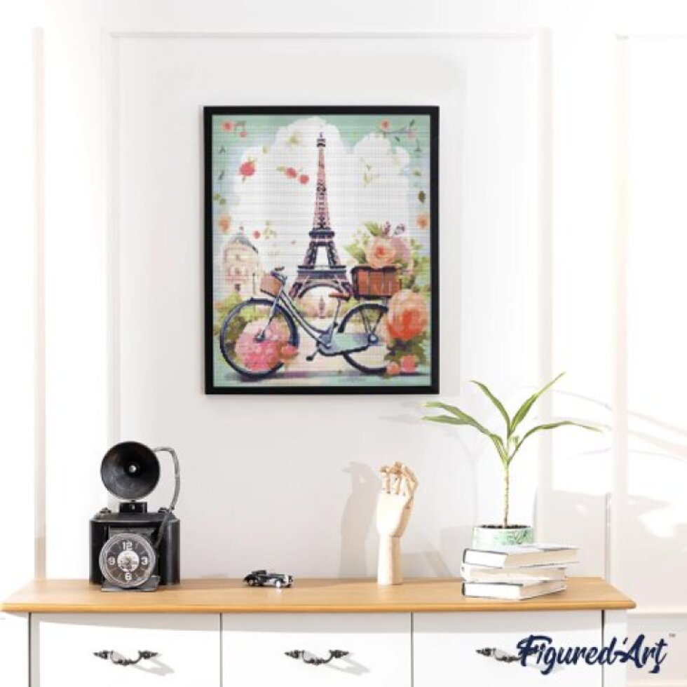 Diamantové malování - ROZKVETLÁ PAŘÍŽ 40 x 50 cm na rámu