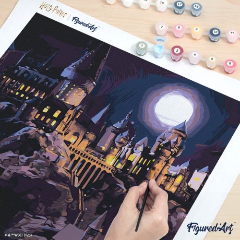 Malování podle čísel - HARRY POTTER - BRADAVICKÝ HRAD V NOCI 40 x 50 cm bez rámu