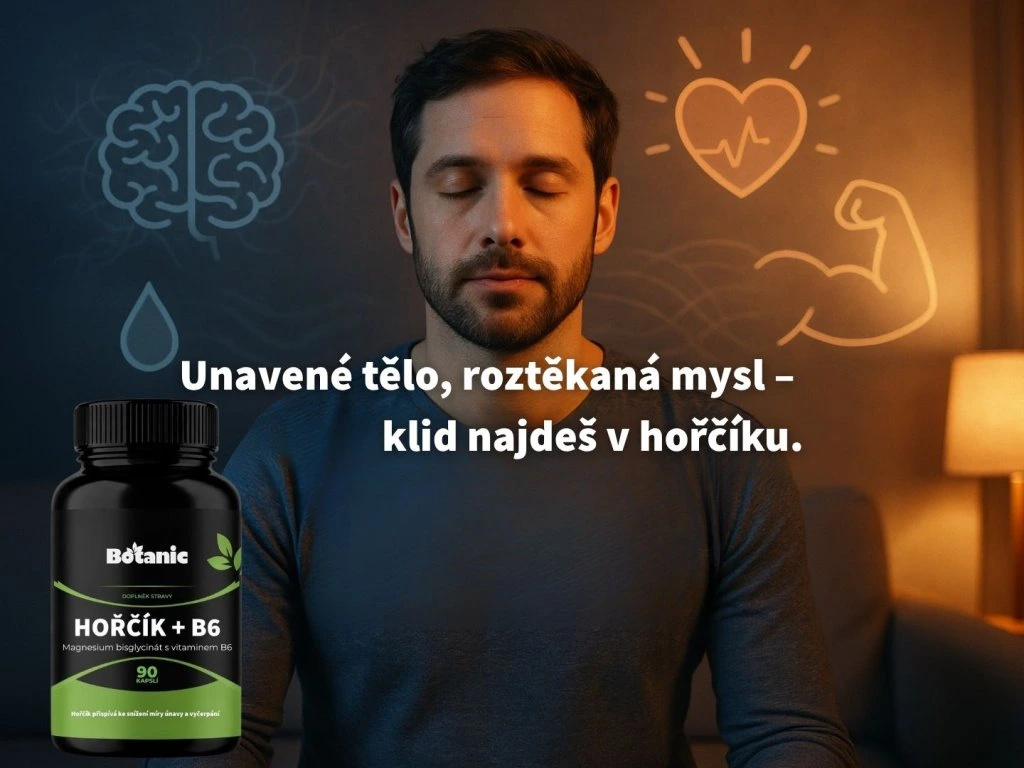 Hořčík + B6 - Magnesium bisglycinát s vitaminem B6