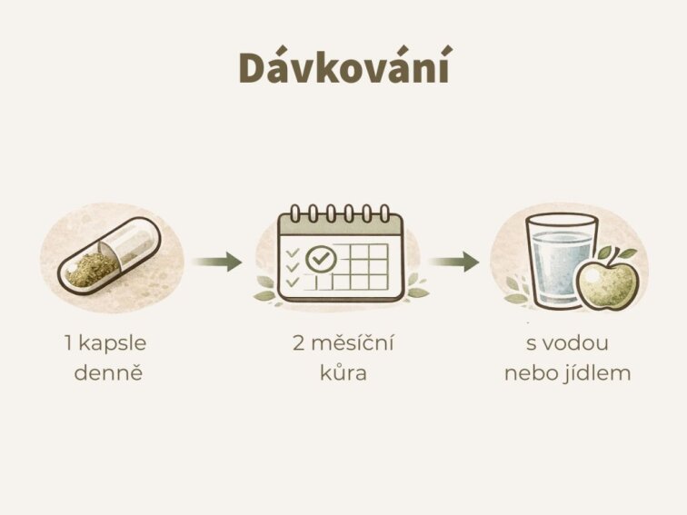 Šalvěj lékařská - Extrakt z listů s 10 % kyseliny rozmarýnové v kapslích