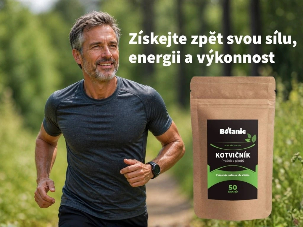 Kotvičník (Tribulus) - Prášok z plodov