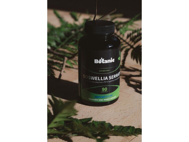 Boswellia serrata - Extrakt zo živice so 70% kyseliny boswelovej (Boswellin®️ HBD Sabinsa) v kapsuliach