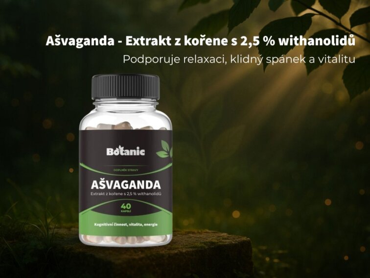 Ašvaganda - Kapsle extrakt 2,5% withanolidů
