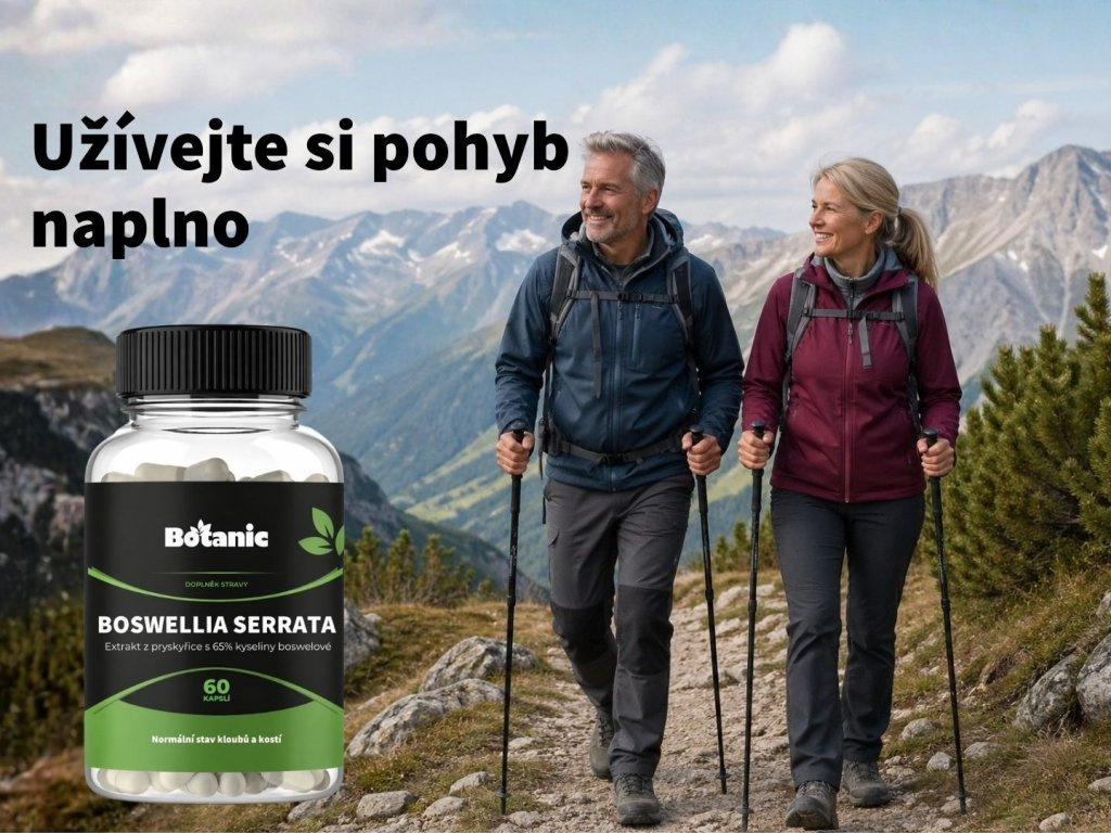 Boswellia serrata - Extrakt zo živice so 65% kyseliny boswelovej v kapsuliach