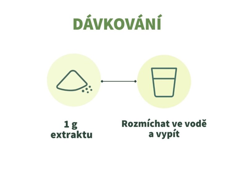 Ostropestřec mariánský - Extrakt 10:1 v prášku