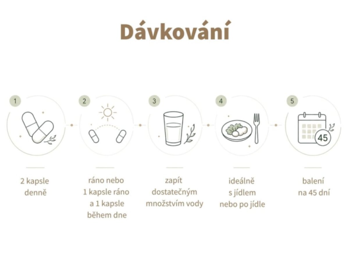 CalmFocus – Klidná hlava během dne
