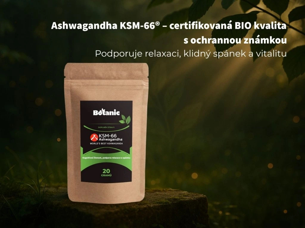 Ashwagandha (Ašvaganda) KSM—66® - Extrakt prášek BIO