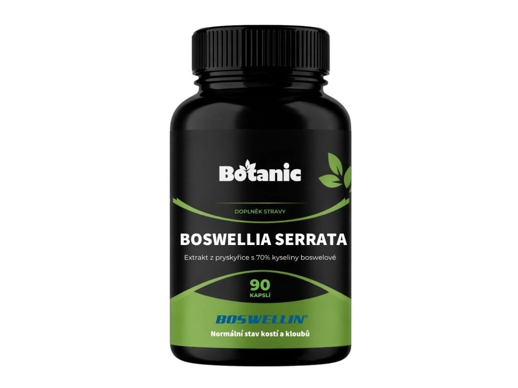 Boswellia serrata - Extrakt zo živice so 70% kyseliny boswelovej (Boswellin®️ HBD Sabinsa) v kapsuliach