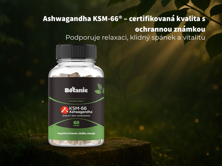 Ašvaganda KSM—66® - kapsle