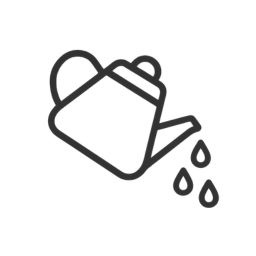 Matcha - Zelený čaj v prášku