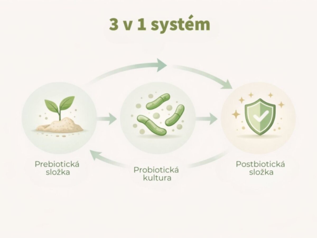 TripleBiotics - Prebiotika, probiotika a postbiotika