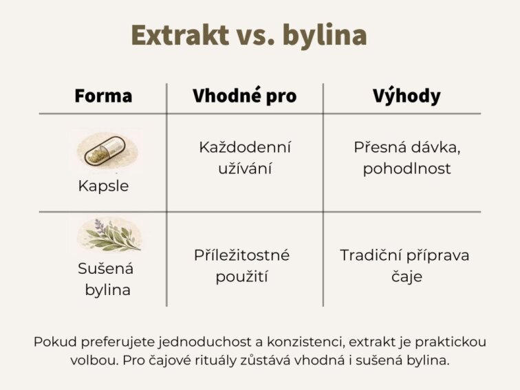 Šalvěj lékařská - Extrakt z listů s 10 % kyseliny rozmarýnové v kapslích