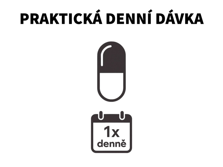 Vitamin C – Kyselina askorbová v kapslích