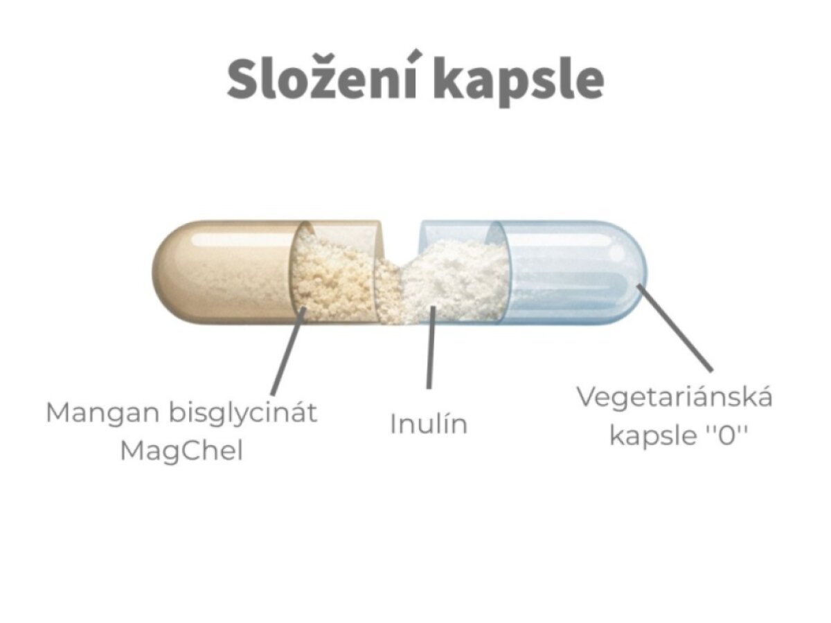 Mangan MagChel® - Bisglycinát v kapslích