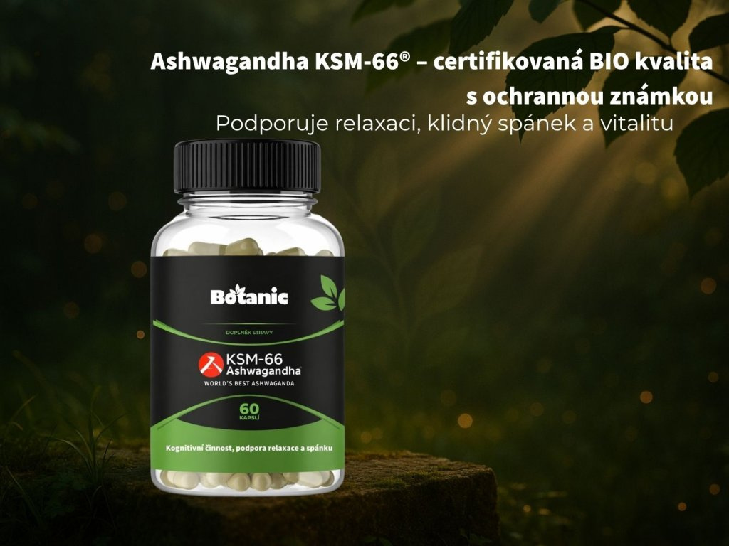 Ashwagandha (Ašvaganda) KSM—66® - Kapsle BIO