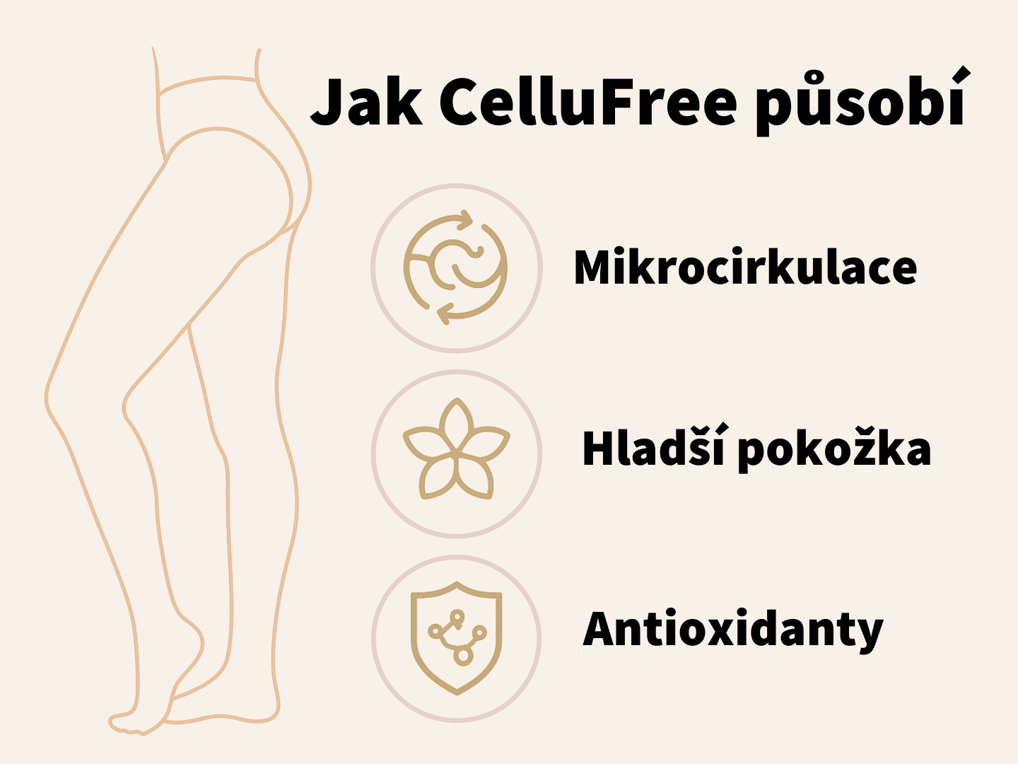CelluFree – Normální stav pokožky