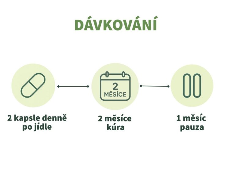 Ostropestřec mariánský - Extrakt 10:1 kapsle