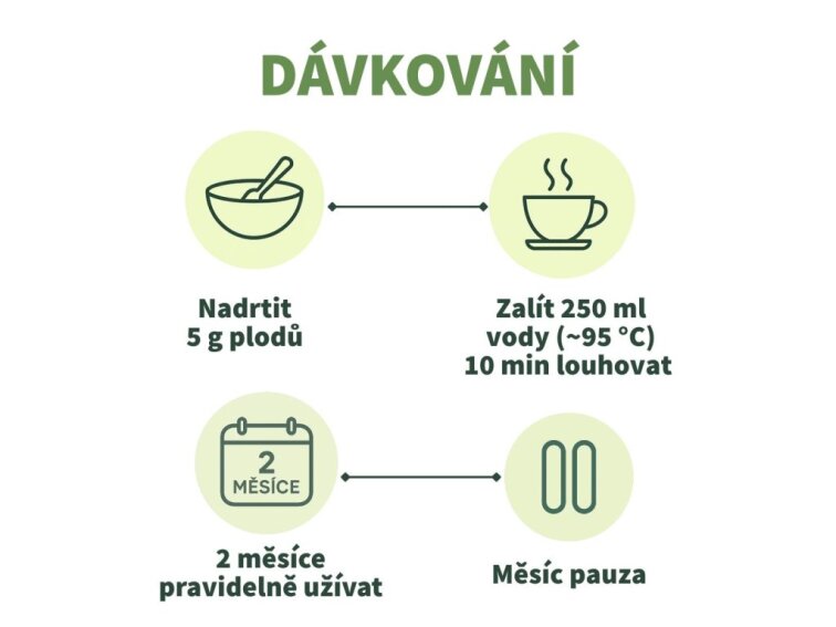 Ostropestřec mariánský - Plod BIO