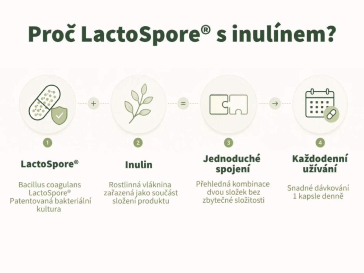 Probiotika LactoSpore® – Bacillus coagulans s inulínem