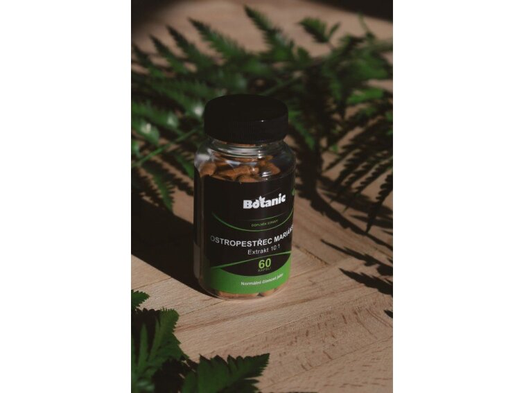 Pestrec mariánsky - Extrakt 10:1